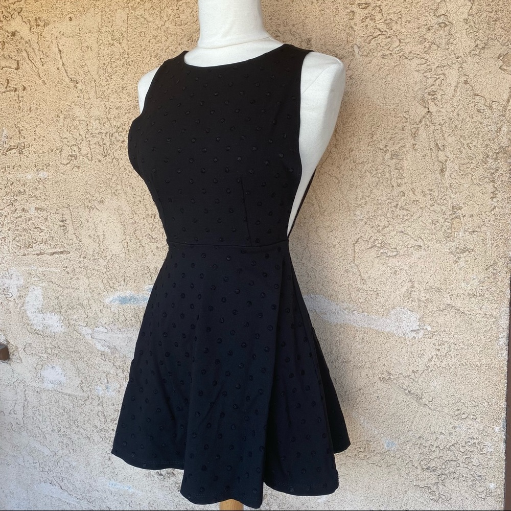 American Apparel Dotted Ponte Skater Dress